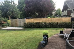 F8C81656-866F-46FA-92D8-248F3353F08F