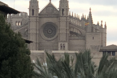 37CA4C45-8919-41C3-A199-BFF29D9FF981