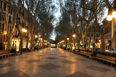 9AD4311F-A69C-481B-9C05-386A9E591229